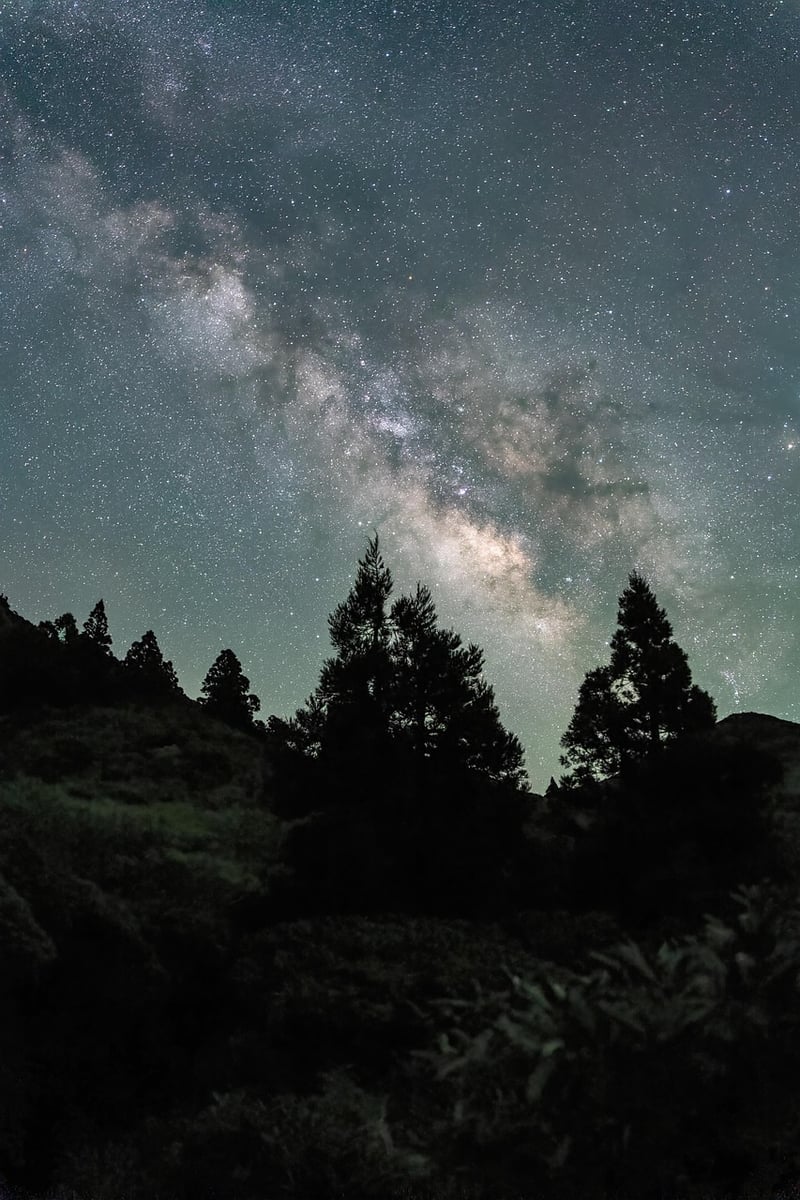 Dancing under the stars